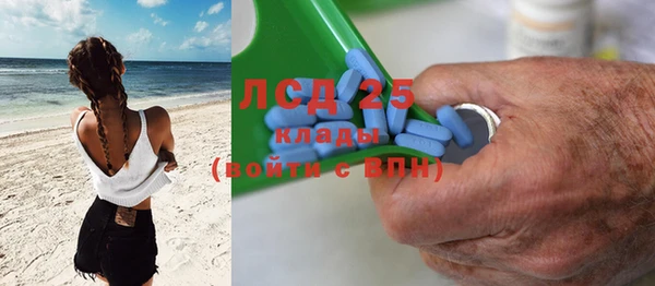 PSILOCYBIN Михайлов