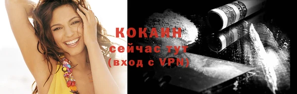 PSILOCYBIN Михайлов