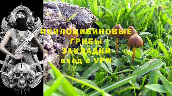 PSILOCYBIN Михайлов