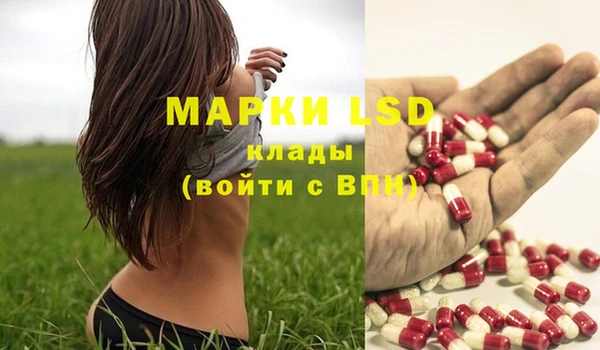 PSILOCYBIN Михайлов