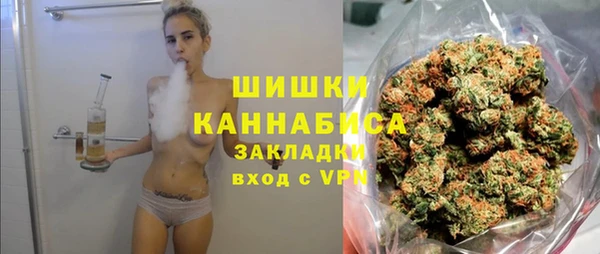 PSILOCYBIN Михайлов