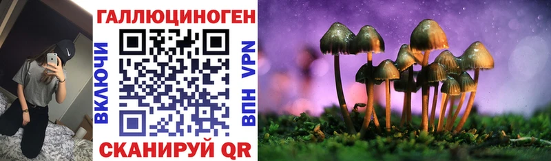 Псилоцибиновые грибы MAGIC MUSHROOMS Нерюнгри